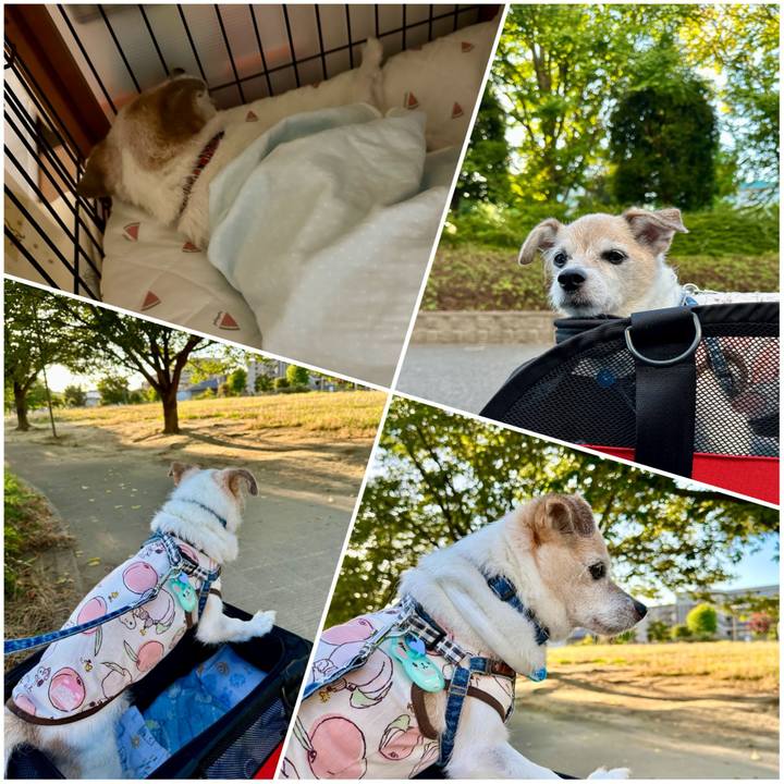 3ec30815 60a6 4c07 8bd2 a06f807143f5 1753829107015