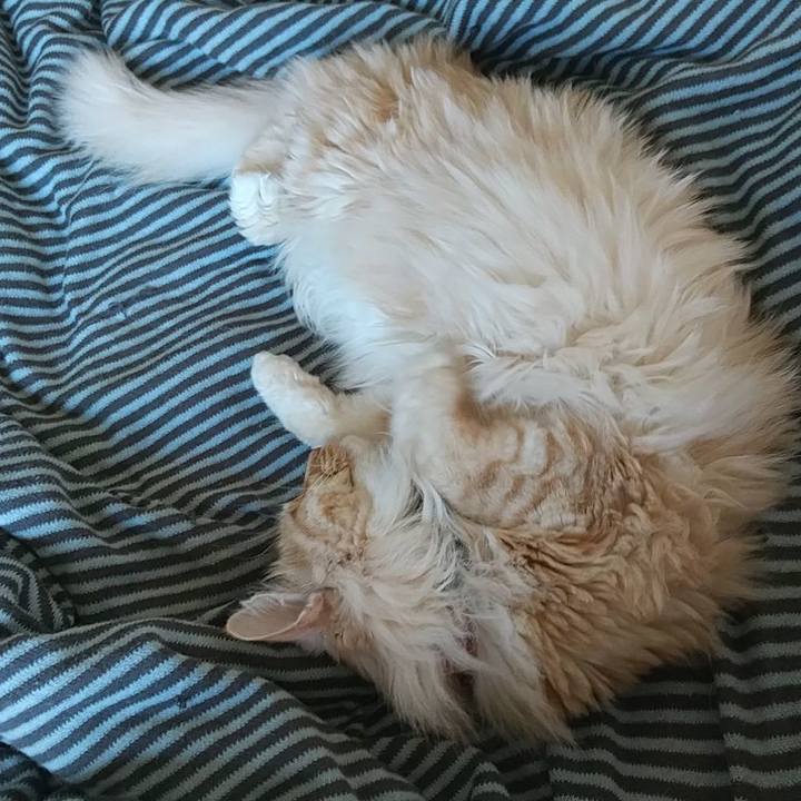 3ec383a4 6e67 4d74 b5de 2603ae43f635 1651544927140