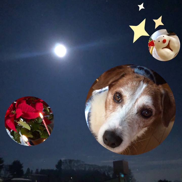 3ec38b1f 61d2 4083 a417 1d0deba01233 1545567230439