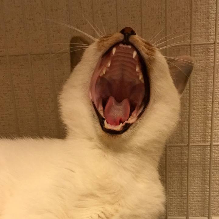 3ec3c58c 529b 4afc b8dc c54faab65b91 1512059545913