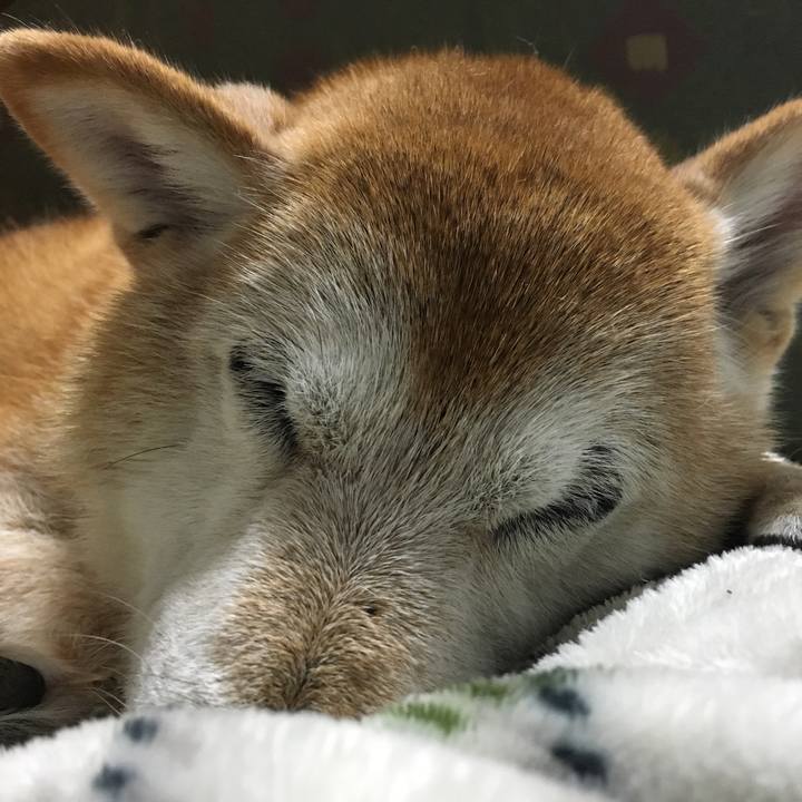 3ec3d2f9 cba5 4940 9516 28c129653889 1508595154310