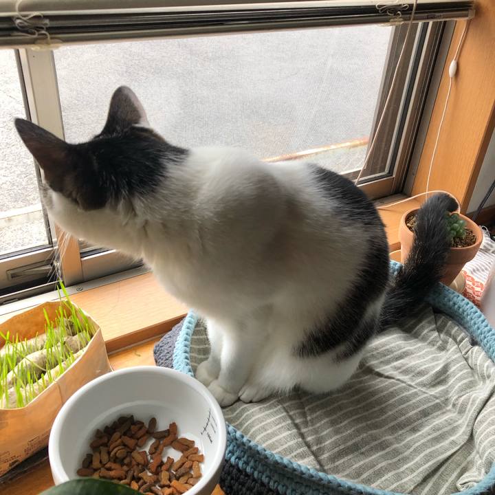 3ec40611 5f3b 4138 ab32 4d2bbda6ac00 1715121040930