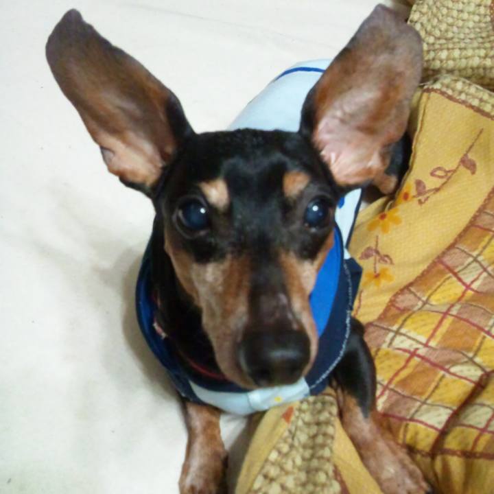 3ec47803 51cb 4022 b015 4df12495ba12 1555502503367