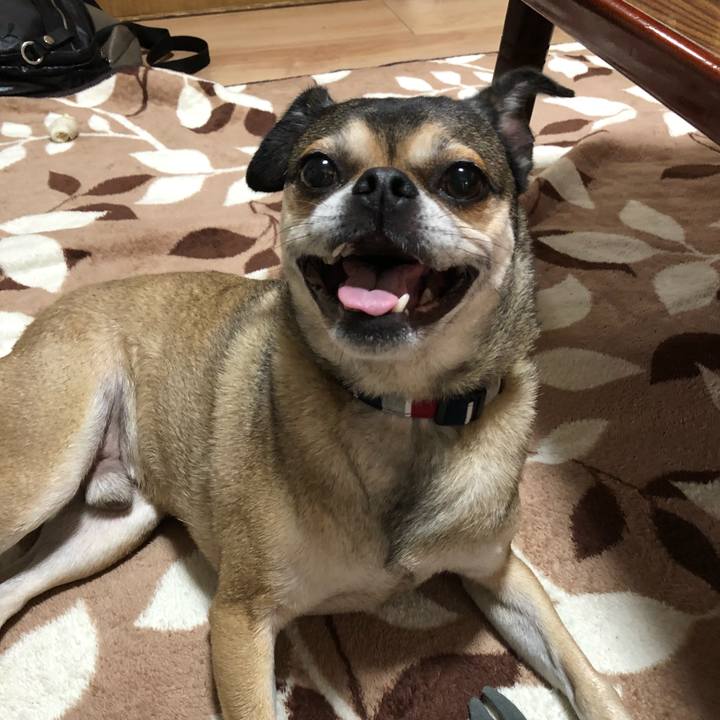 3ec48d2c 8647 46cd a53a 802e51174f26 1527663131243