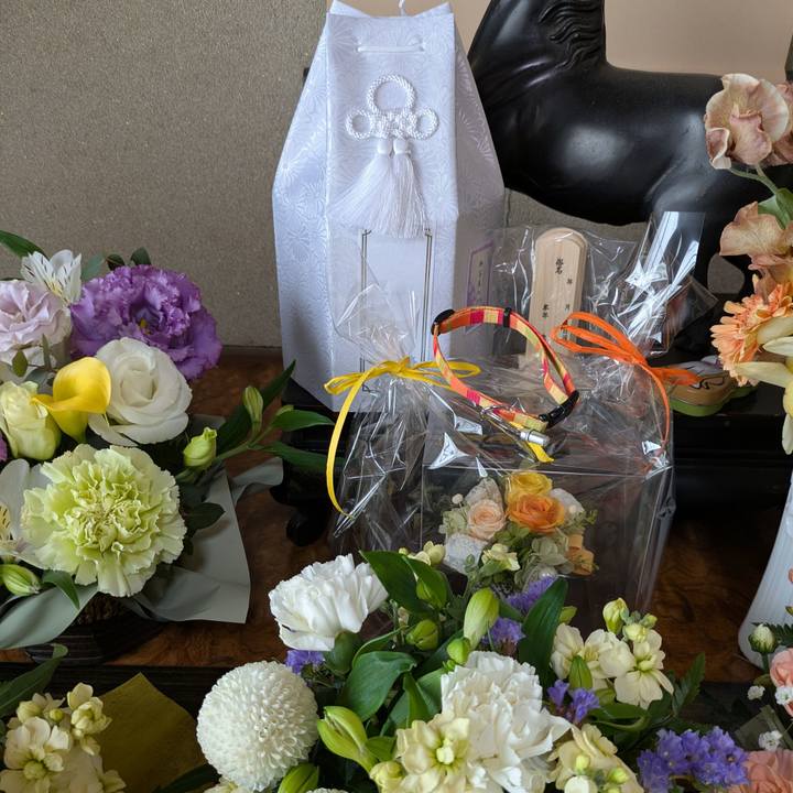 3ec4b0e2 cd57 4036 b334 7c62b6a84610 1739340424906