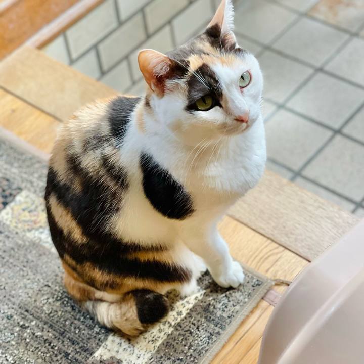 3ec4fe41 e3c3 4ee4 aadb ce901bbceb2b 1652585376778