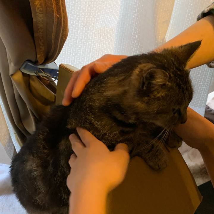 3ec50be3 c249 423f b6dc a3f8854f745d 1575195266945