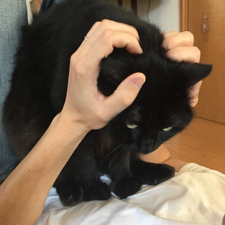 3ec5b3a0 4d2a 45f3 a9b0 efb52e0cb421 1531351751065