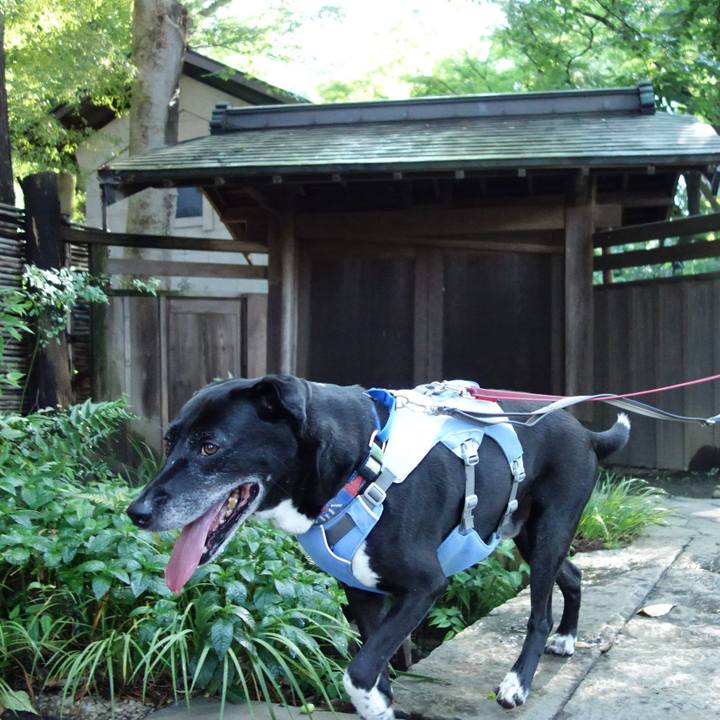 3ec5b79b 68dc 4d59 9cda 7fc8976779aa 1721693895643