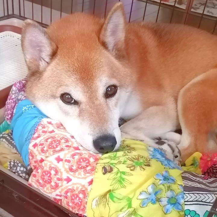 3ec5bee7 fd35 472a b8c9 6b746f3cb5cd 1662857924564