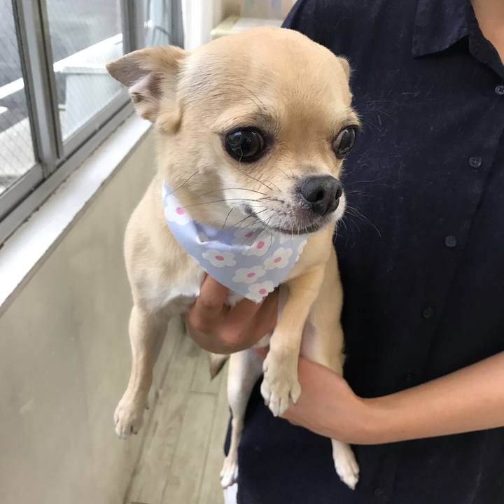 3ec5d210 15aa 4154 90be 158c9c401008 1561800861758