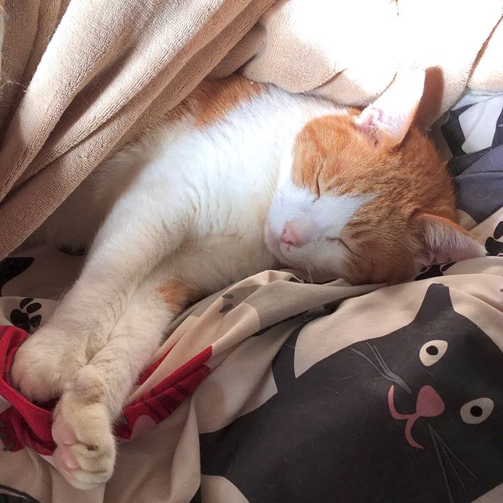 3ec5e19a fb9c 4347 a508 e0cd224ec106 1579504189147