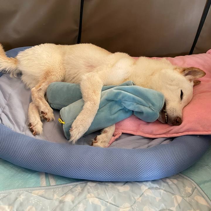 3ec5e8ab 1a5a 45bf a65a c58edfc6c568 1659942355070