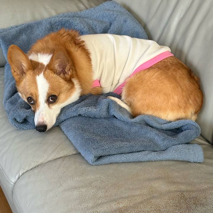 3ec5f060 1d40 4156 8d96 8e1e04bcfdf9 1772594889440