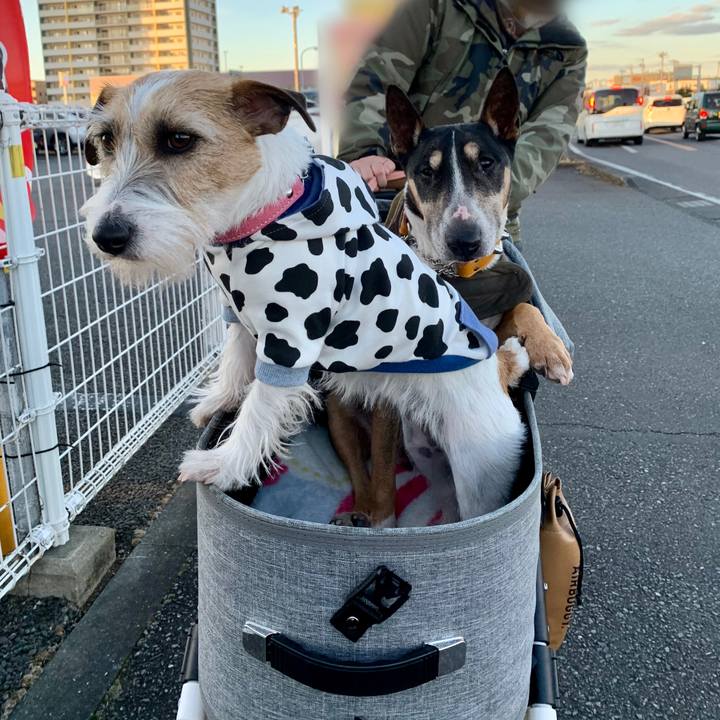 3ec5ff79 5970 4c08 bbdb feb51f7fc8dc 1609670905609