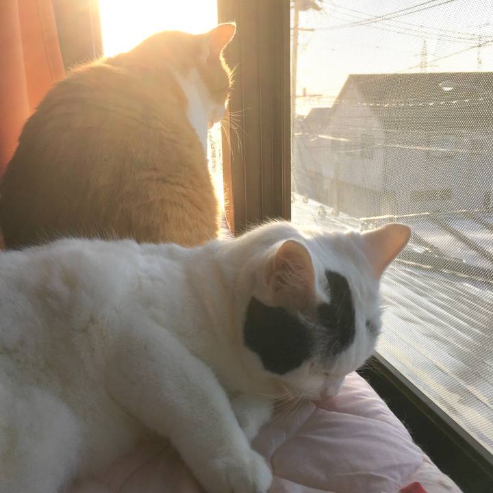 3ec60362 607e 4319 b4f5 76805cbcdab5 1605164720899