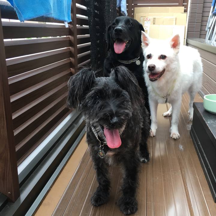 3ec604eb 0dab 4384 9886 4da32eee89d7 1534318613121