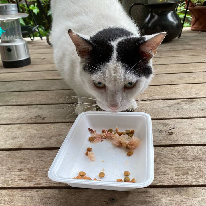 3ec62b47 9499 4098 ada4 249765fe121b 1657840901347