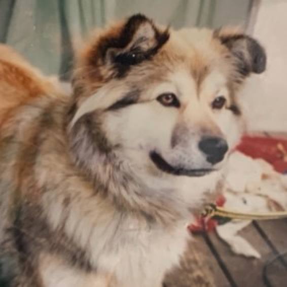 3ec685aa 1475 4e85 ba2f cb3d830d5483 1642229390164