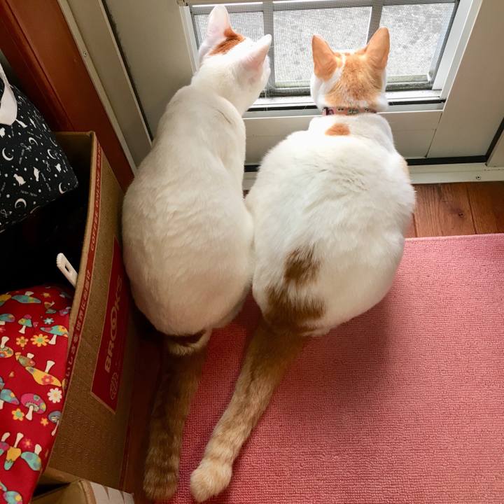 3ec6a2a9 2d10 45a4 bc64 ab4732ed51ef 1521084279874