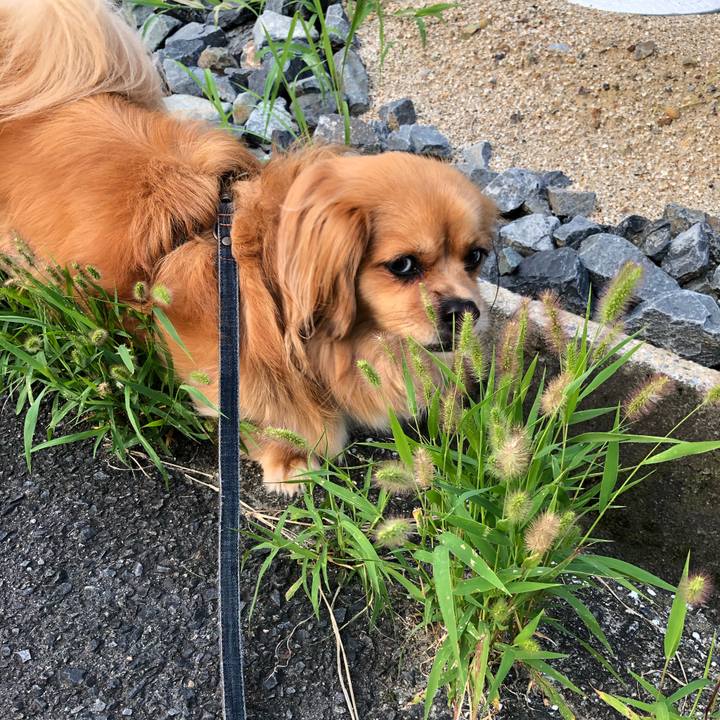 3ec6a720 76ad 403c 82ed 859749b44c18 1564695527855