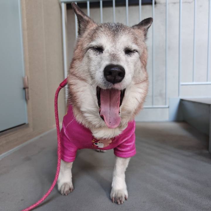 3ec701da b1e2 4def b41a d41f61adc95c 1770100865415