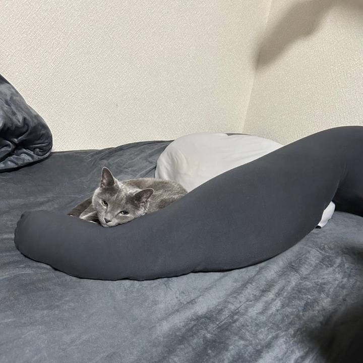 3ec70b83 415b 4366 a971 931b9e83280d 1703990873396