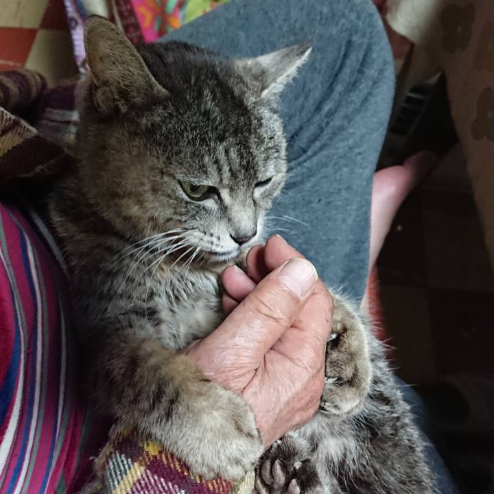 3ec712fb e0d3 434a 9ed3 0f32eccdb63a 1584961621780