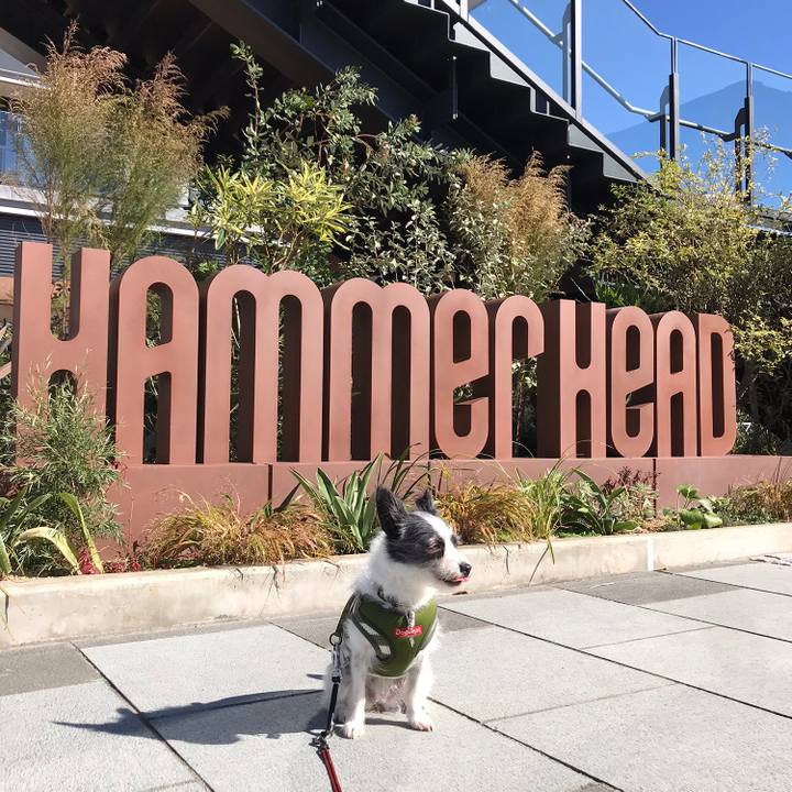 3ec7469a 8164 4349 9531 8754df0b396d 1573553877860