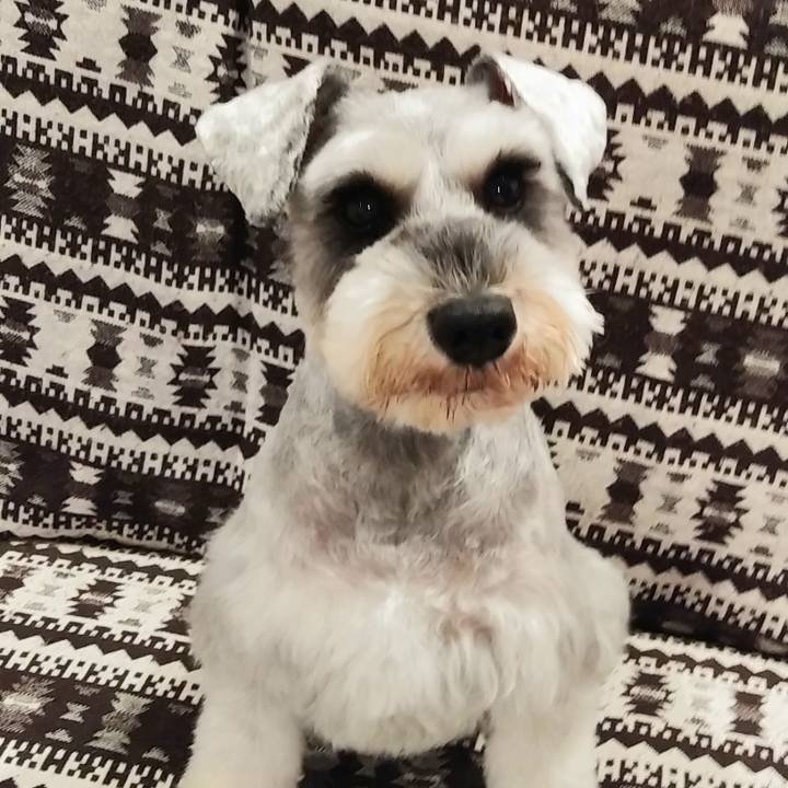 3ec75bc9 4b14 430d 88d3 29fe0ae8f5a1 1550482965445