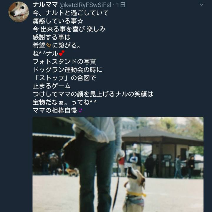 3ec76853 bfcb 4631 8918 c50ede456346 1516112169274