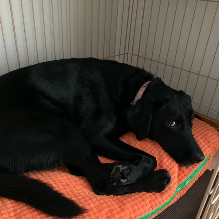 3ec77661 b37d 46c7 b093 21642c0cf6ca 1604623001581