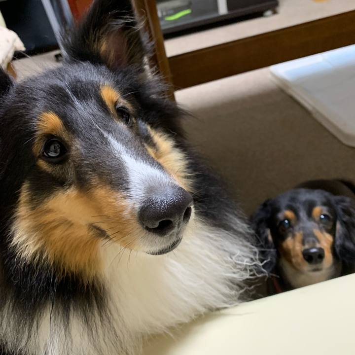 3ec79e4c c95d 4137 81ce 9182c510f5b3 1561497847019