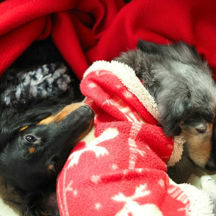 3ec7a142 86ff 434c a55e b731f284e4e3 1511134941630