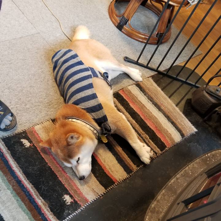 3ec7f831 eba9 4716 b539 f0b2e8703318 1614040465880