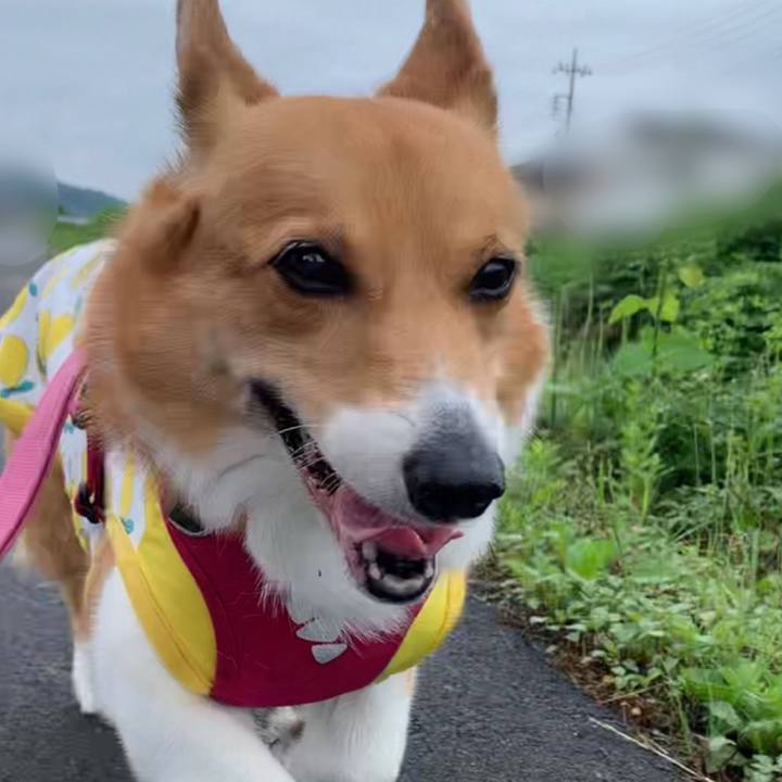 3ec826b3 47a6 450b ac47 175840e44f21 1686707669714