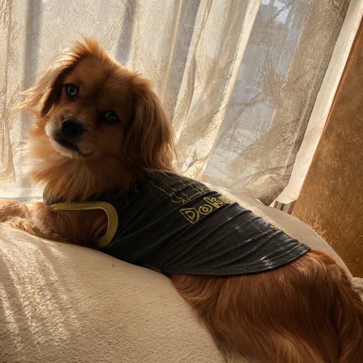 3ec8386b ac9b 4c7f 8e0b 8cb1a3c9fc2a 1548554437230