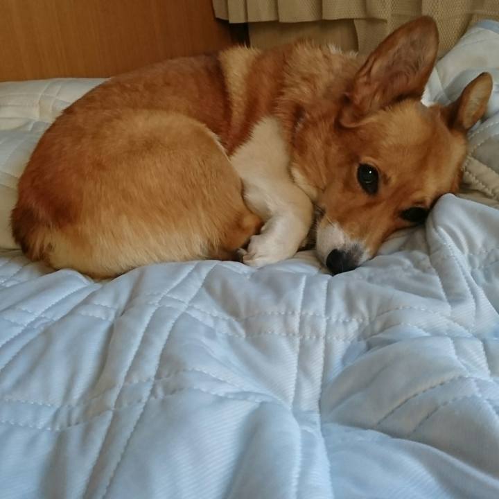 3ec89cfa 968e 4a14 9b71 d7d56b791446 1549352285948