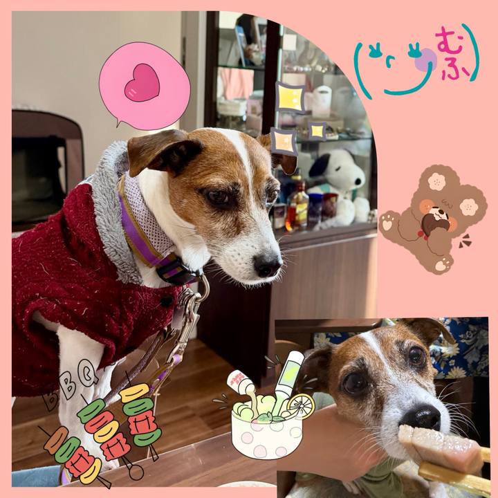 3ec8a0ed 40d1 4ae8 a807 ec95e3c6f81b 1767427493204