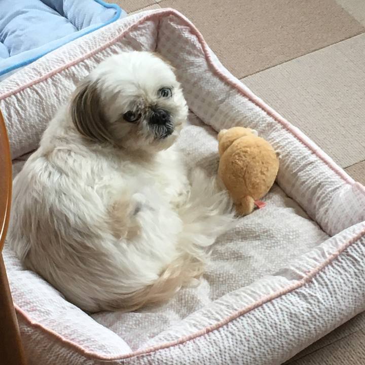 3ec8c44c bb83 43fa 9c40 ca3b3b700ddb 1590568847760