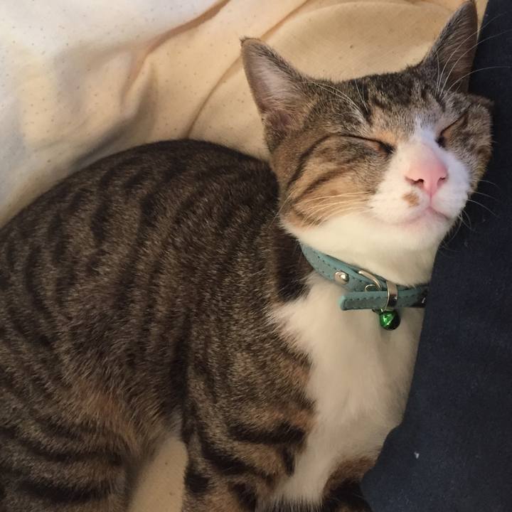 3ec8e948 4b79 4595 810f e8ca1efe0d15 1658931367298