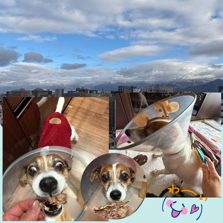 3ec91545 2d59 4b7c 88d6 8a47fe37096b 1766399927293