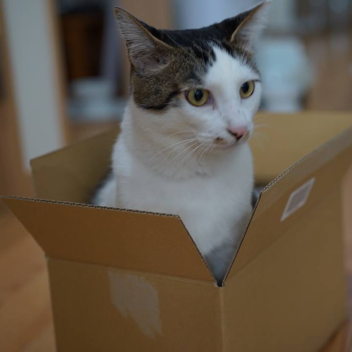 3ec9472c d3f6 4fa7 861c b22d4bfbe1a7 1553041227974