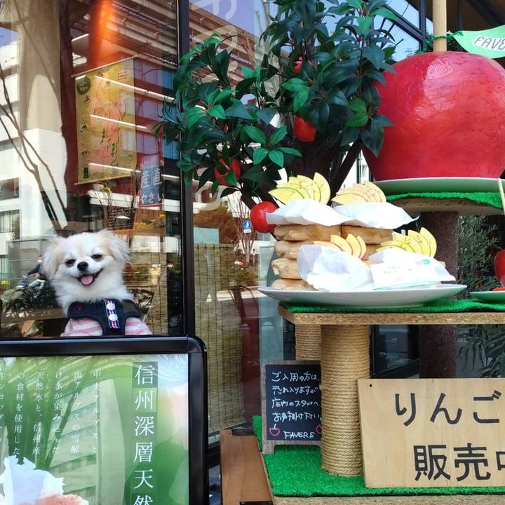 3ec95416 8fe8 4c99 b436 5e082aeeebf3 1649588589826