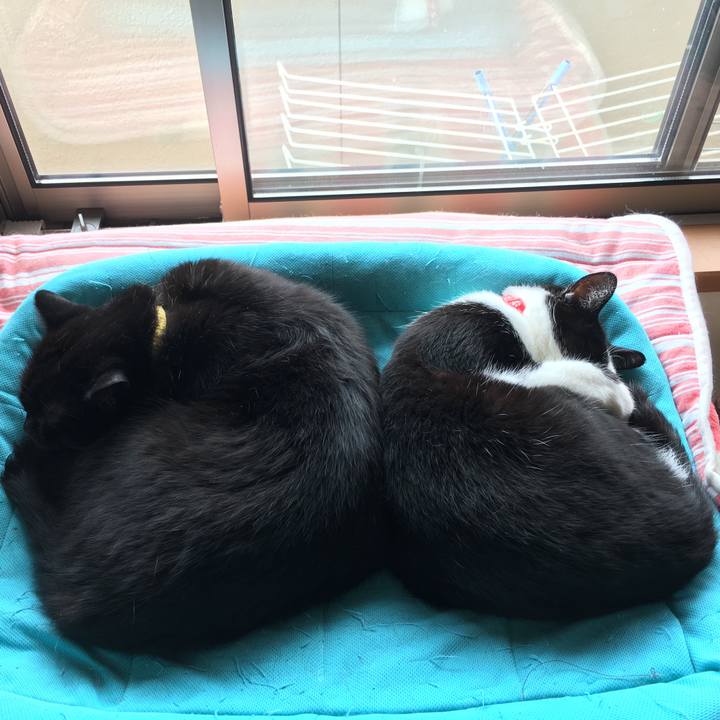 3ec99192 49a6 45ae bd66 d80f193286af 1559094703988