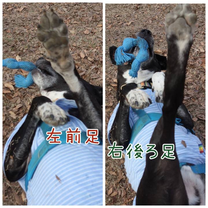 3eca1aa4 e6f6 4abc 85bf a34c0481ee34 1703728297493