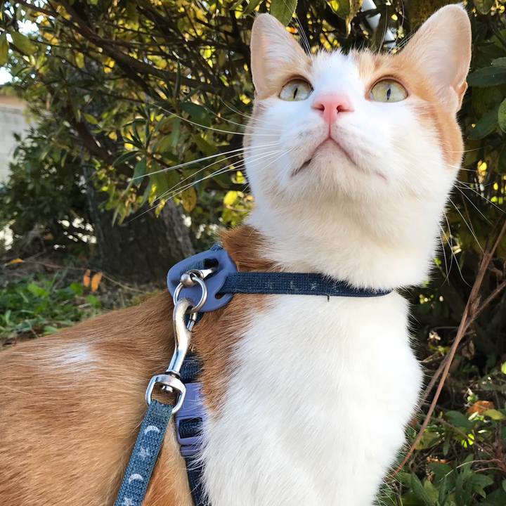 3eca1f5b 8bd4 4d31 b2d2 d1b3ec86d4f7 1512098008214