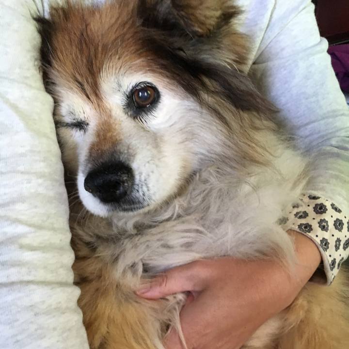 3eca21a1 4b22 44fd 9bab ab38b181c536 1608856740755