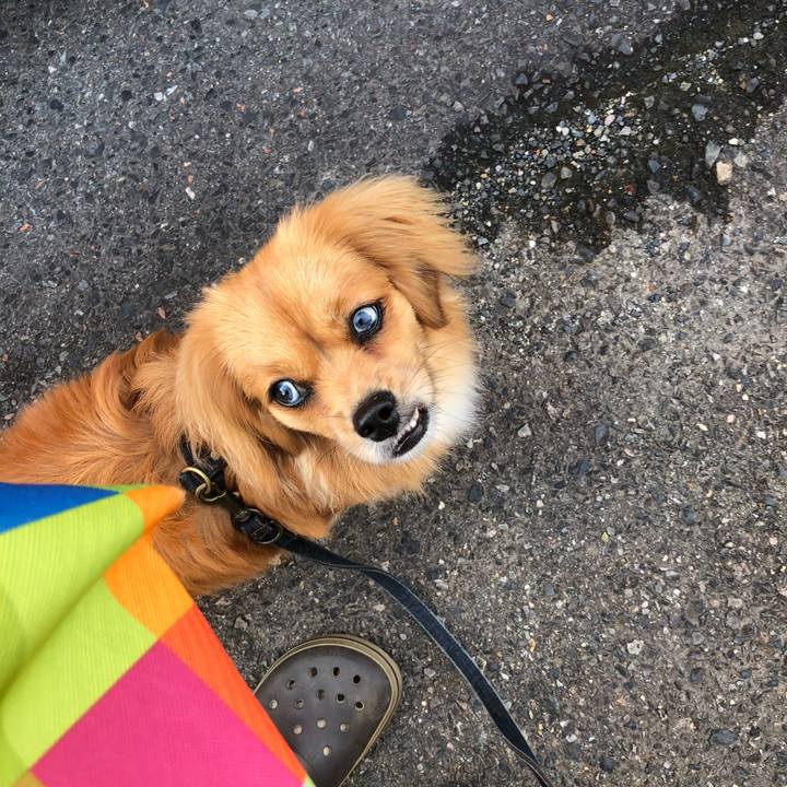 3eca455e bff5 4278 a99b dbcbceb3ecba 1529355478667