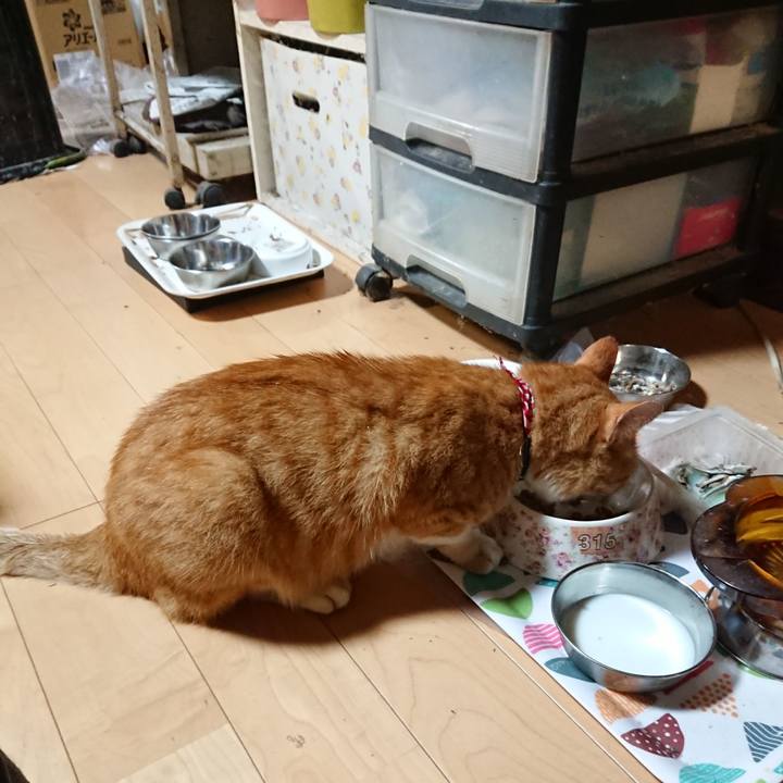 3eca4d33 f82a 40a7 a495 5a9a0ddcfad2 1597661163907